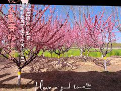 -永定河休闲森林公园