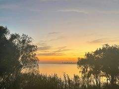 -合肥滨湖国家森林公园