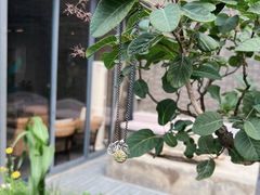 -漪龙台·B26 Rooftop Lounge