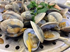 -海大大蒸汽海鲜餐厅·粤菜·特色小炒(欢乐颂店)