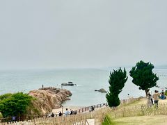 -小麦岛公园