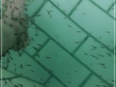 -天山海世界·米立方