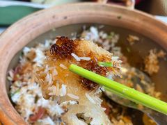 -润园四季椰子鸡火锅(海上世界店)