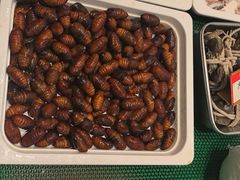 -码头鲜精致威海菜(欧乐坊店)