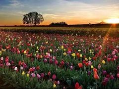 -泰山天颐湖旅游度假区