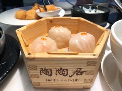 陶陶居大虾饺-陶陶居酒家(海岸城店)