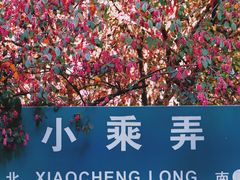 -绍兴鲁迅故里·沈园景区