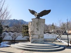 -北京鹫峰国家森林公园