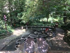-成都市活水公园