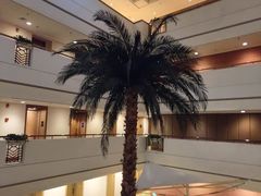 -美臣大酒店