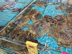 -三亚火车头万人海鲜广场