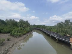 -东寨港红树林旅游区