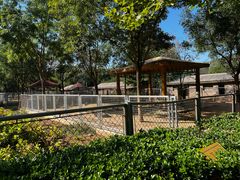 -石家庄市动物园