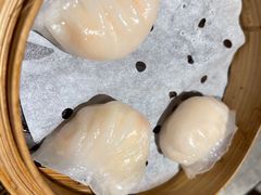 晶莹鲜虾饺-添好运点心专门店(深水埗店)