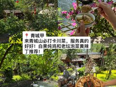 -青城甲(青城山店)