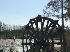 景点-上海长兴岛郊野公园