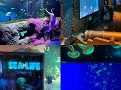 -沈阳海洋探索中心