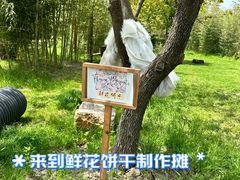 -九善农植有机生活农场