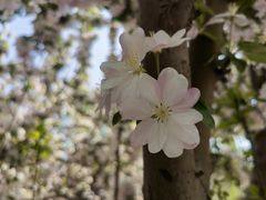 -海棠花溪(元大都城垣遗址公园)