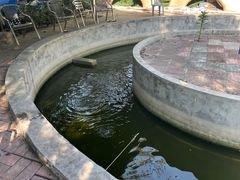 -小象钓虾·营地烧烤(洛溪店)