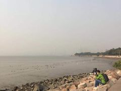 -深圳湾公园(南山区)