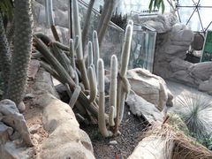 -北京植物园-展览温室