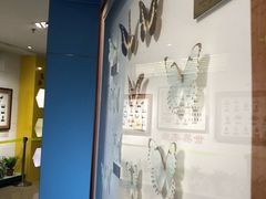 -上海昆虫博物馆