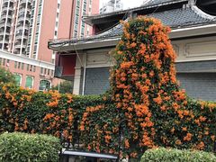 -船政文化景区-罗星塔公园