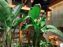 -园里火锅(仁和新城店)