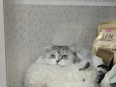 -道合堂·中式按摩·spa(民治店)