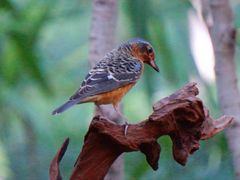 -苏州河梦清园环保主题公园