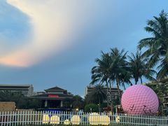-采悦轩中餐厅·粤菜·海南菜(神州半岛喜来登度假酒店)