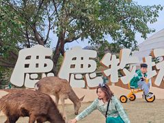 -盈香心动乐园