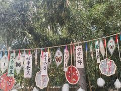 -沈阳植物园