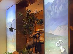 -眉州东坡(亚运村店)