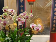 -听松楼·花园酒店·自助餐厅(红梅公园店)
