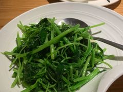 清炒芥兰苗-原製原味(普陀山磐龙店)