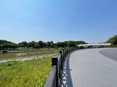-海珠湖公园