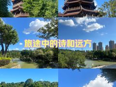 -八仙山公园