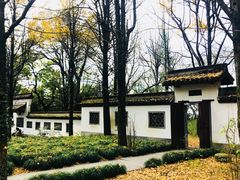 -西湖风景区十里琅珰-五云山