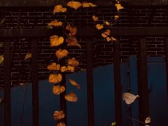 -四川大学(华西校区)