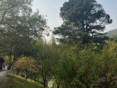 -宝岩生态观光园