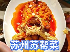 -姑苏家宴·苏帮菜·松鼠桂鱼(苏州总店)