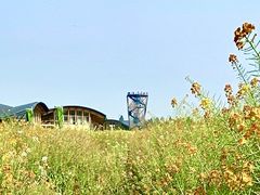 -中国天府农业博览园