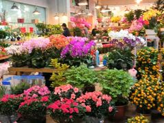 -双季花艺园艺市场(浦东店)