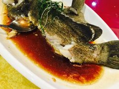 -中南酒店(人民大道中店)