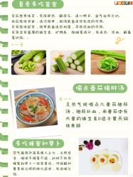 -Fundi张玉珊修身堂·indiba·BTL科技瘦身