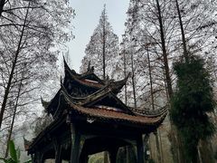 -青城山