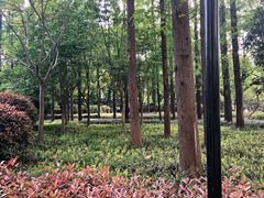 -徐家汇源景区-衡山公园