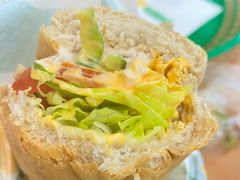 金枪鱼三明治-赛百味SUBWAY(家佳源店)